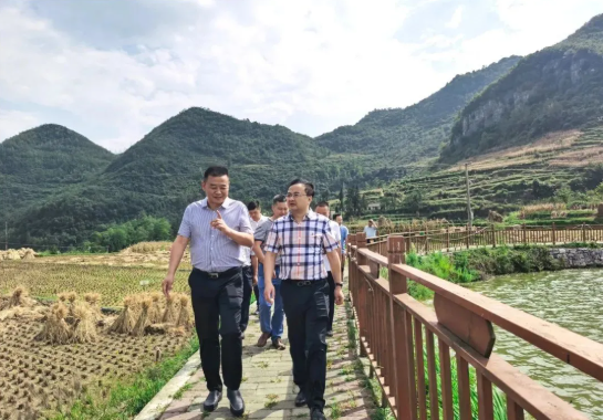 畢節(jié)工業(yè)職業(yè)技術(shù)學(xué)院黨委書記李涌、院長(zhǎng)邱國(guó)援率隊(duì)到鄉(xiāng)村振興駐村聯(lián)系工作點(diǎn)調(diào)研
